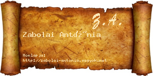 Zabolai Antónia névjegykártya